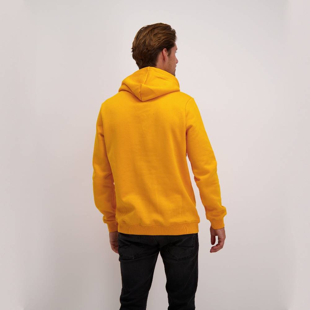 Cars Jeans KIMAR HOOD SW OCRE Discount Store für neue Produkte
