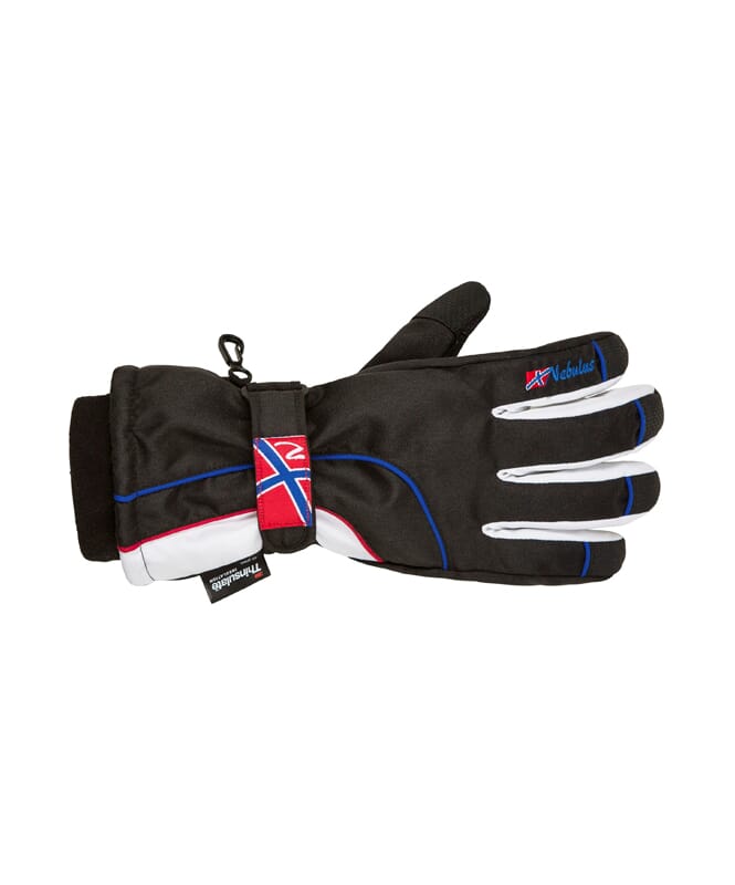 Nebulus Skihandschuhe SPIKE Herren Exklusivangebot