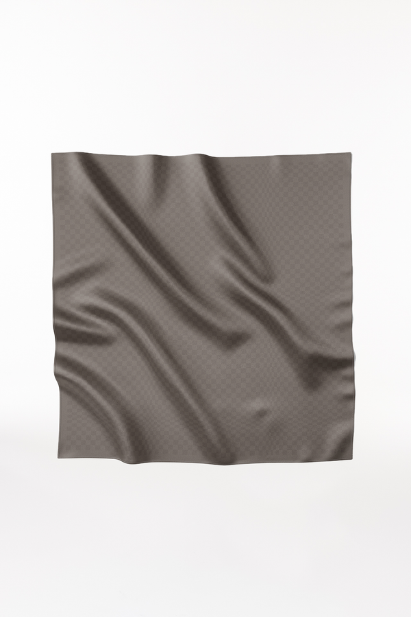 Prinz Berlin Seidentuch Illusion 123 Taupe Kostenloser Versand international