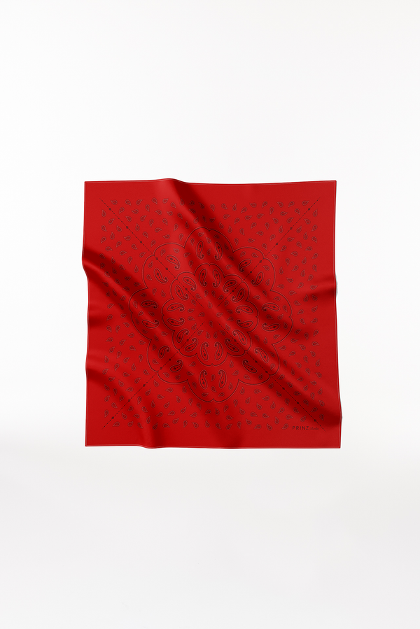 Prinz Berlin Seidentuch Paisley 90 Rot im Angebot