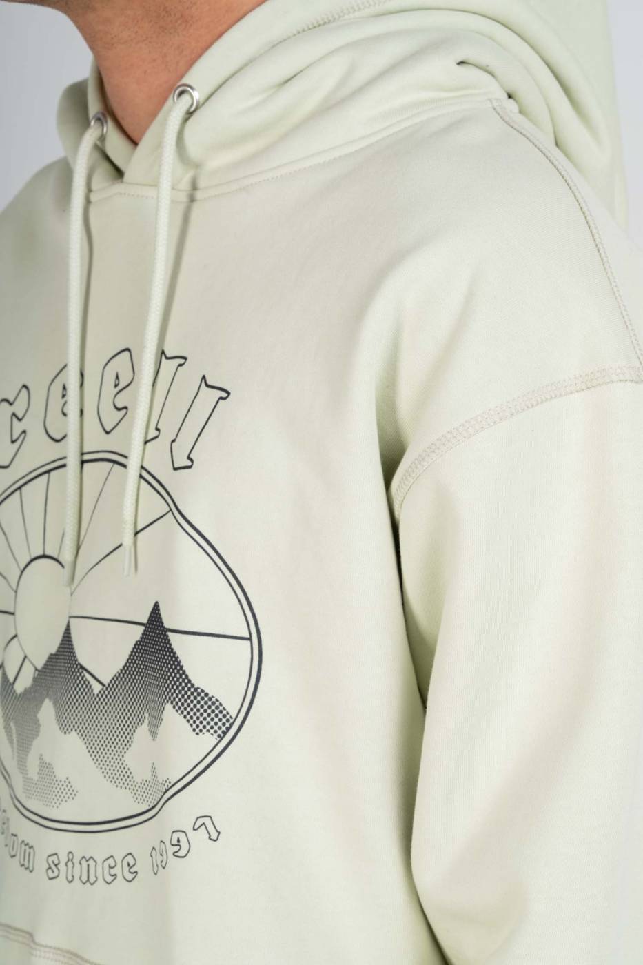 Reell Area Hoodie Verkauf