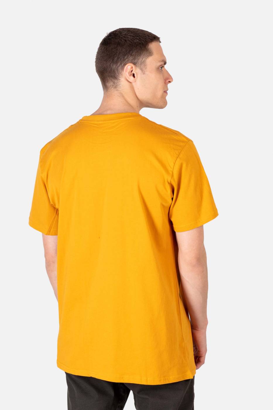 Reell Staple Logo T-Shirt 2025