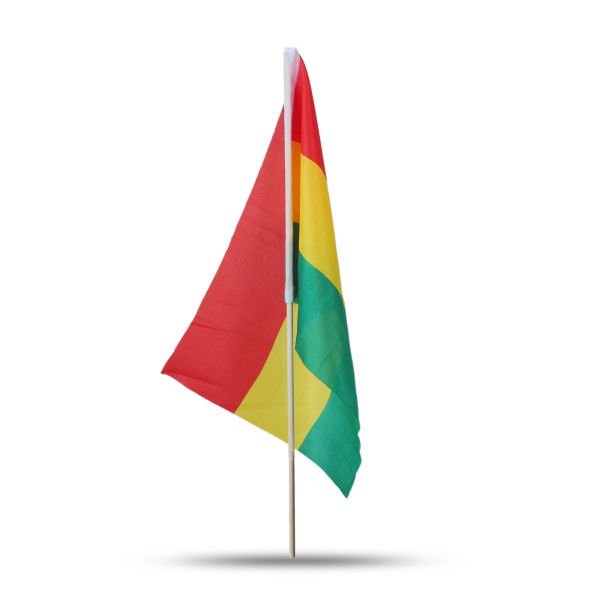 Sonia Originelli 10er Set Fahne Flagge Winkfahne "Ghana" Handfahne EM WM JETZT KAUFEN