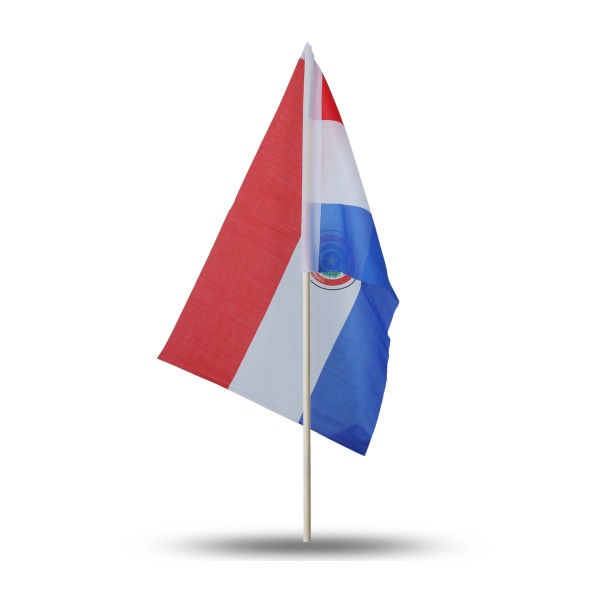 Sonia Originelli 10er Set Fahne Flagge Winkfahne "Paraguay" Handfahne EM WM Zeitlich begrenztes Angebot